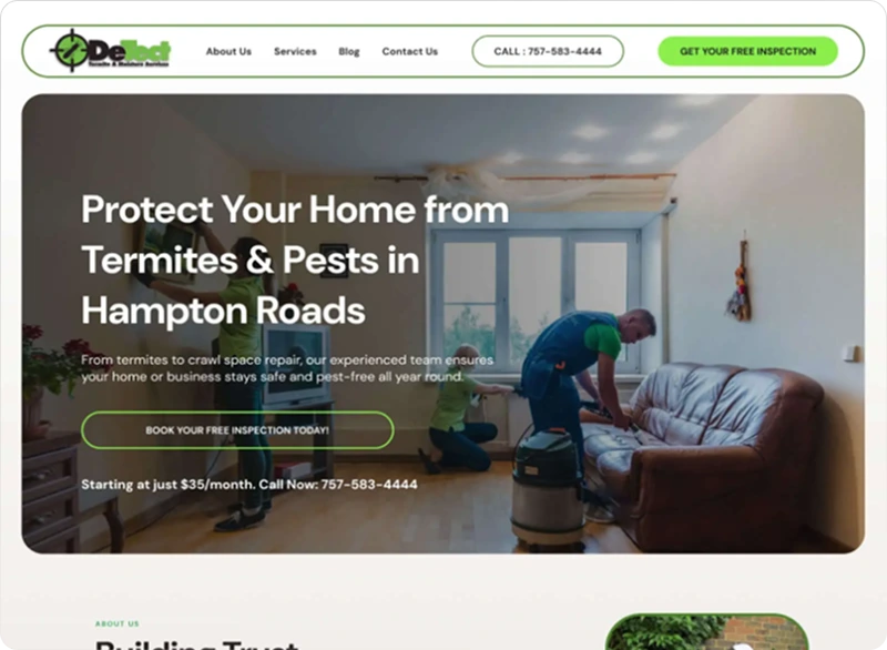 Detect Termite